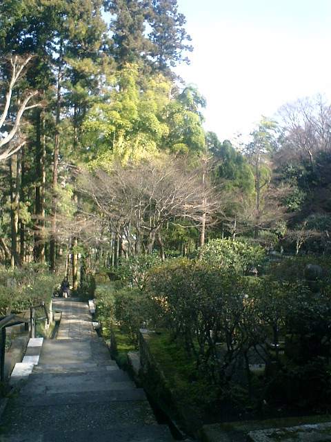 21）東慶寺、墓苑の階段から振り返る.jpg