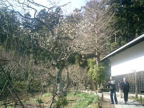 28）東慶寺、墓苑方向の山を観る.jpg